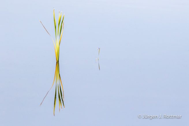 USA | Alaska | Fairbanks | Wedgewood Wildlife Sanctuary | Wander Lake