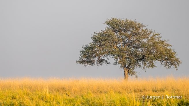 Botswana 09/2019 | Chobe River