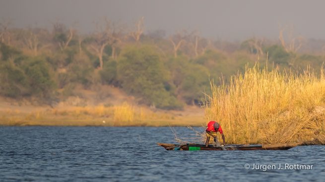 Botswana 09/2019 | Chobe River | Traditional fishing (Traditionelles fischen)