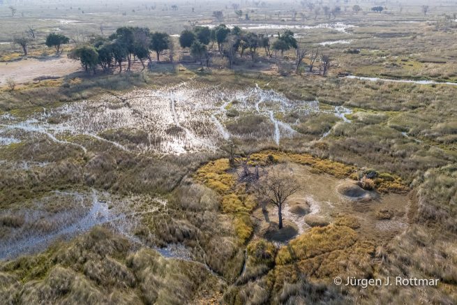Botswana 09/2019 | Okavango Delta | Scenic Helicopter Flight