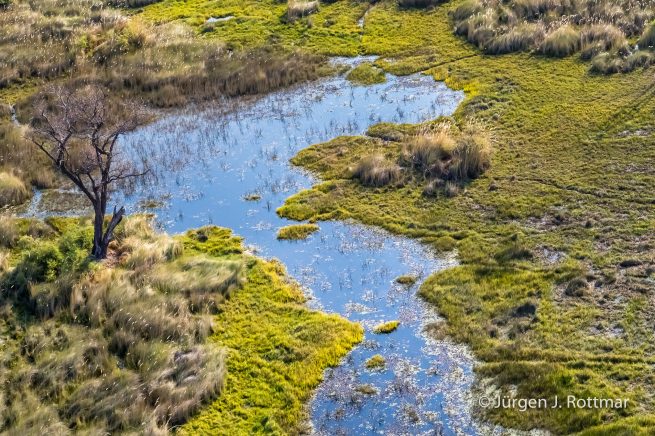 Botswana 09/2019 | Okavango Delta | Scenic Helicopter Flight