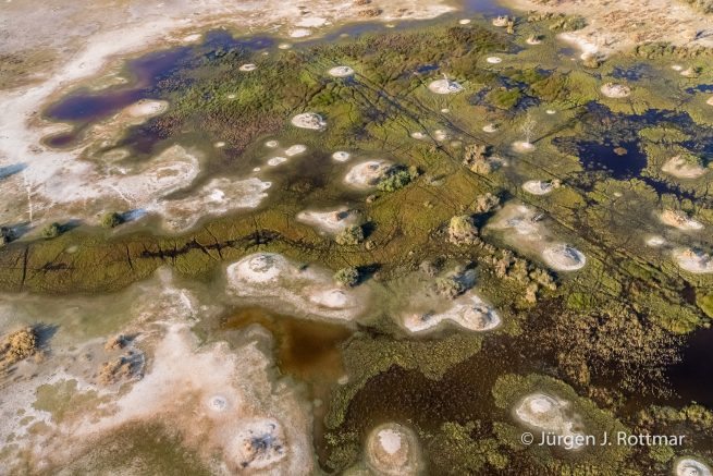 Botswana 09/2019 | Okavango Delta | Scenic Helicopter Flight