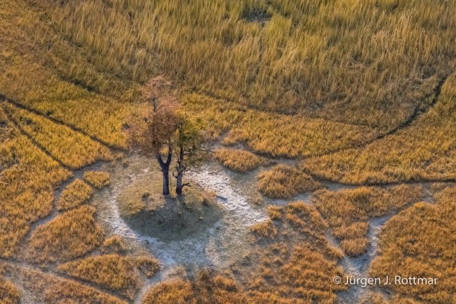 Botswana 09/2019 | Okavango Delta | Scenic Helicopter Flight