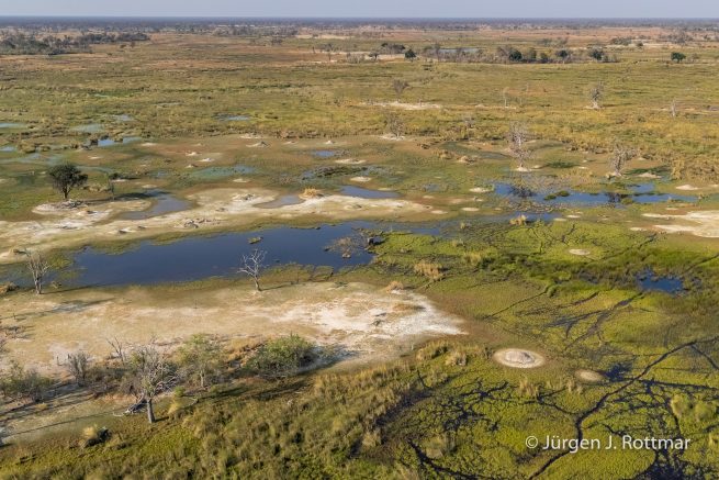 Botswana 09/2019 | Okavango Delta | Scenic Helicopter Flight