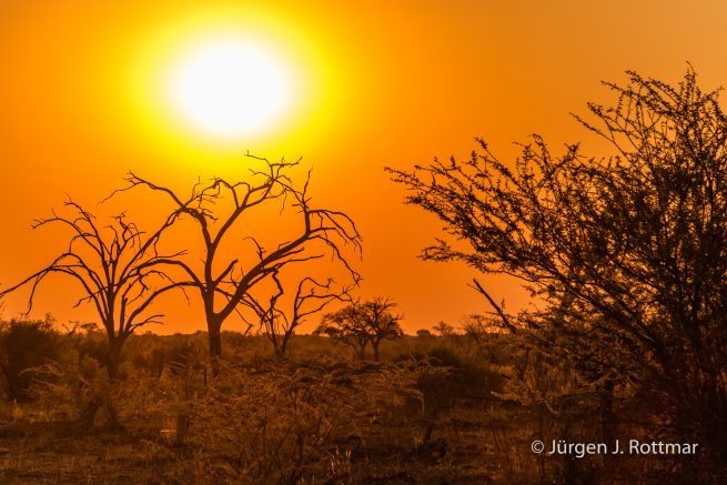 Botswana 09/2019| Savuti