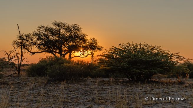 Botswana 09/2019| Savuti