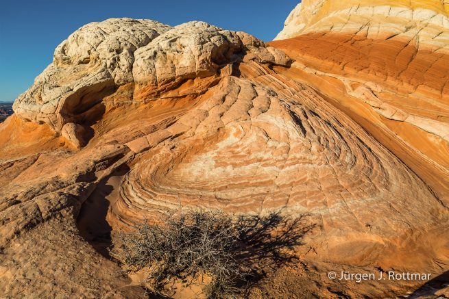 USA | Canyons & Yellowstone NP im Winter | Arizona | White Pocket