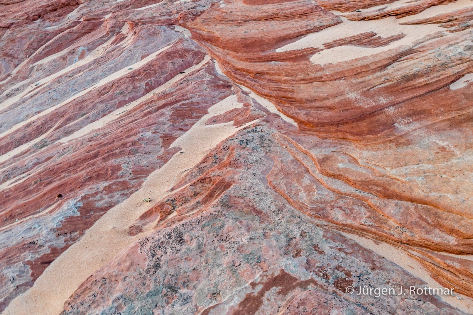 USA | Canyons & Yellowstone NP im Winter | Arizona | White Pocket