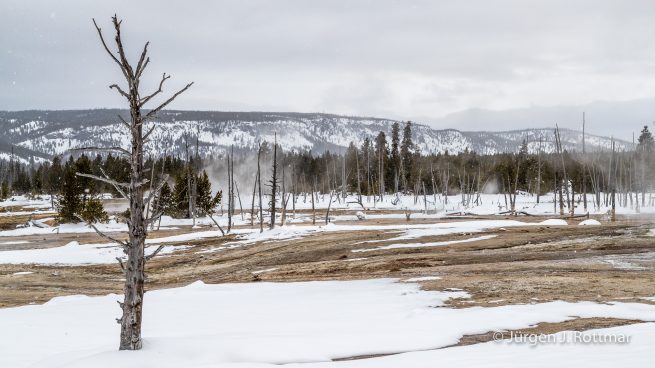 USA | Canyons & Yellowstone NP im Winter | Black Sand Basin