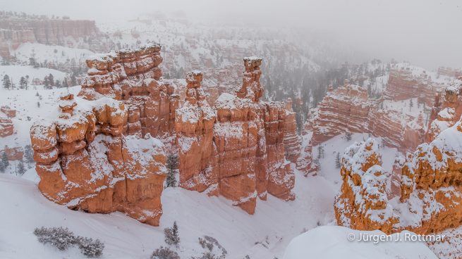 USA | Canyons & Yellowstone NP im Winter | Bryce Canyon