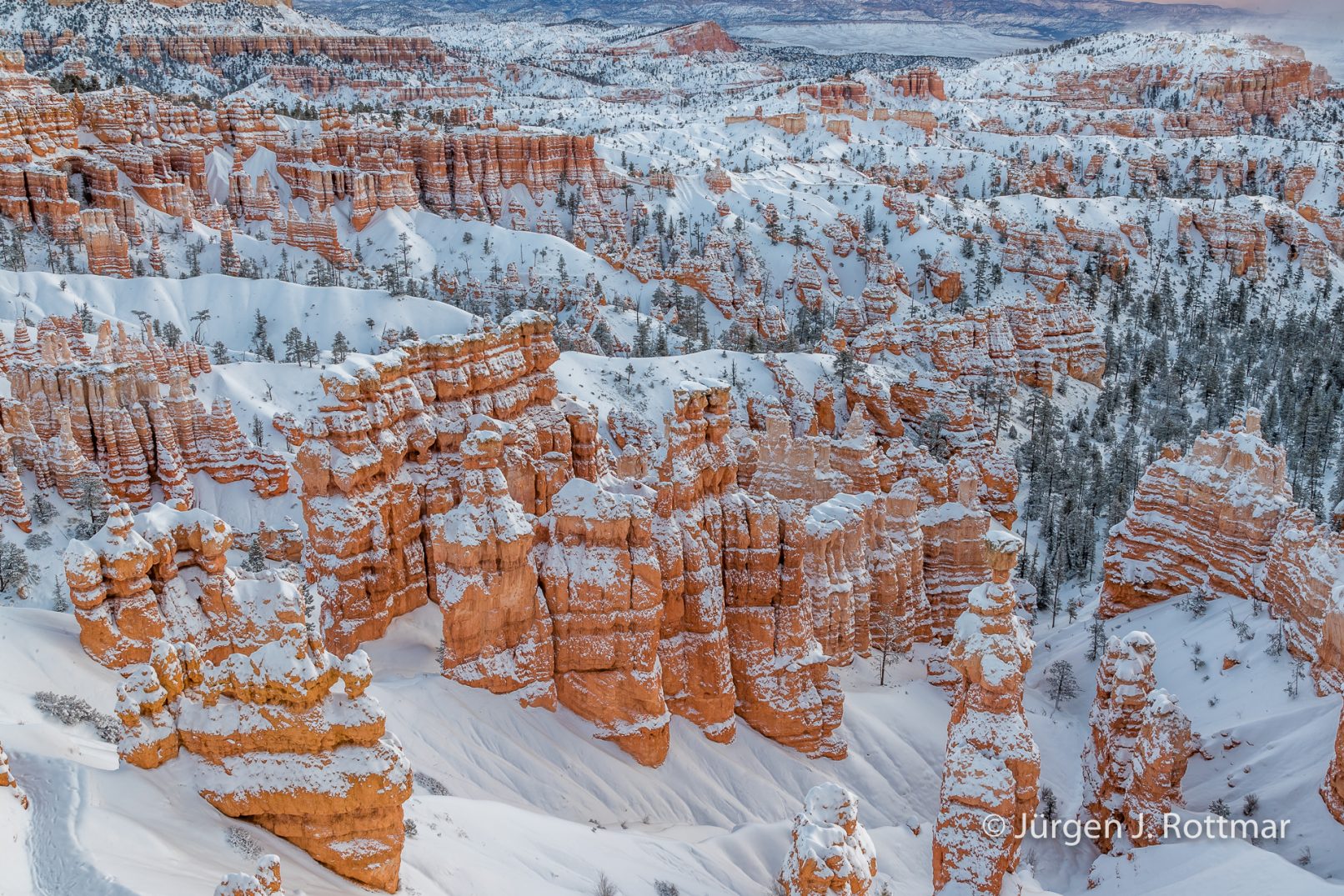 USA | Canyons & Yellowstone NP im Winter | Bryce Canyon