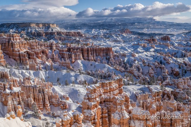 USA | Canyons & Yellowstone NP im Winter | Bryce Canyon