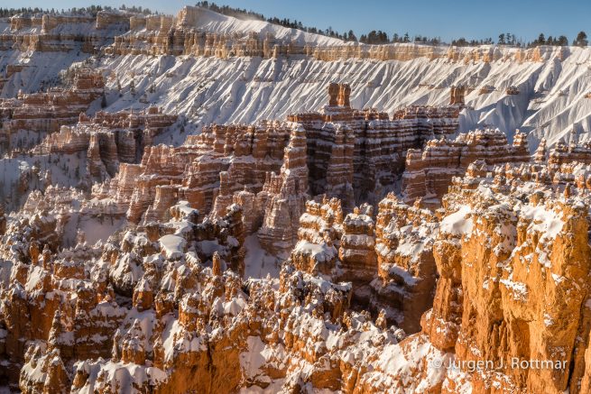 USA | Canyons & Yellowstone NP im Winter | Bryce Canyon