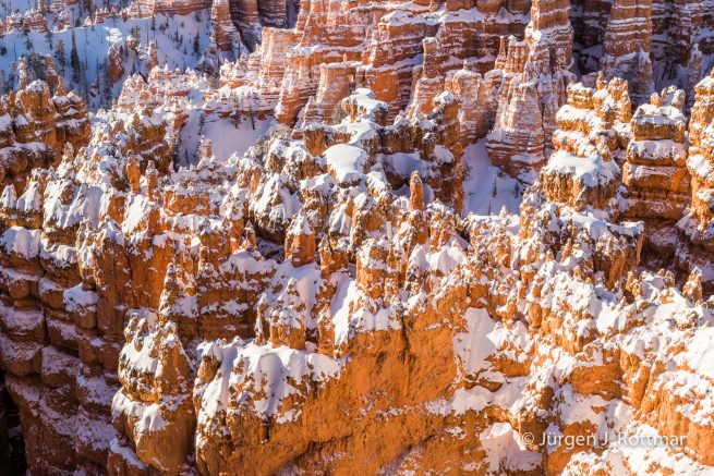 USA | Canyons & Yellowstone NP im Winter | Bryce Canyon