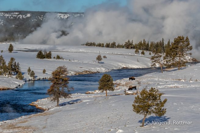 USA | Canyons & Yellowstone NP im Winter | Firehole River | Bisons