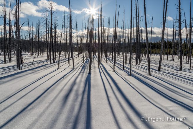 USA | Canyons & Yellowstone NP im Winter | Fountain Paint Pot Trail