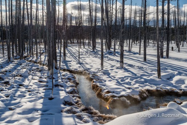 USA | Canyons & Yellowstone NP im Winter | Fountain Paint Pot Trail