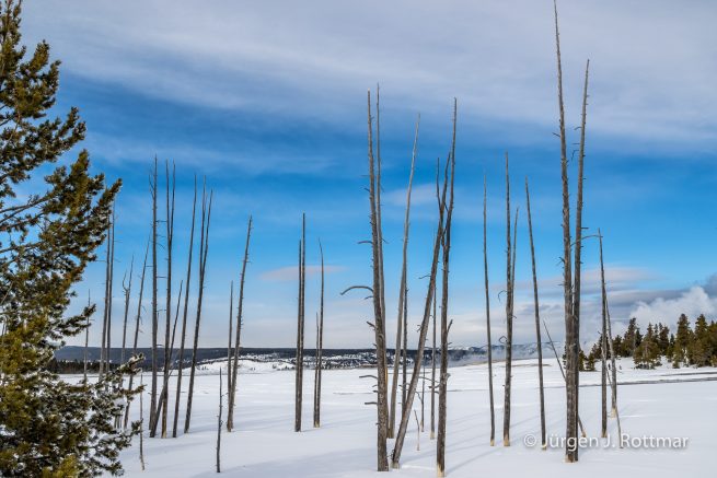 USA | Canyons & Yellowstone NP im Winter | Fountain Paint Pot