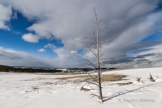 USA | Canyons & Yellowstone NP im Winter | Fountain Paint Pot