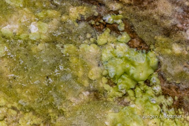 USA | Canyons & Yellowstone NP im Winter | Grand Prismatic Springs