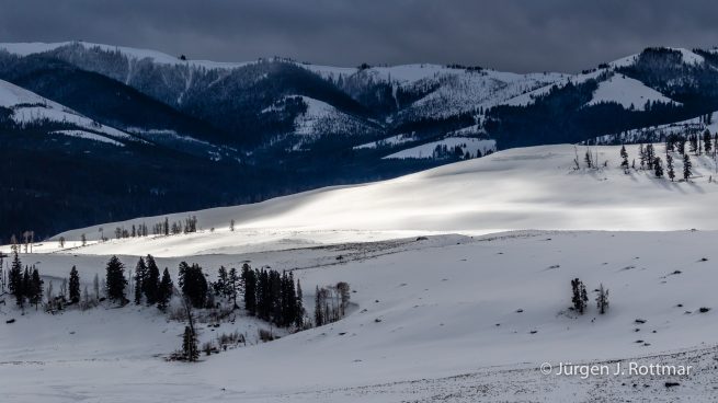 USA | Canyons & Yellowstone NP im Winter | Lamar Valley