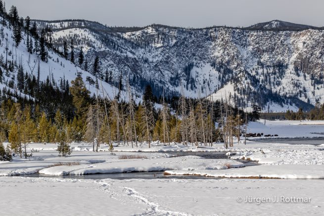 USA | Canyons & Yellowstone NP im Winter | Madison River