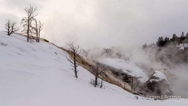 USA | Canyons & Yellowstone NP im Winter | Mammoth | Lower Terraces Area