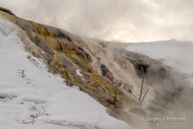USA | Canyons & Yellowstone NP im Winter | Mammoth | Lower Terraces Area