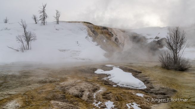 USA | Canyons & Yellowstone NP im Winter | Mammoth | Lower Terraces Area