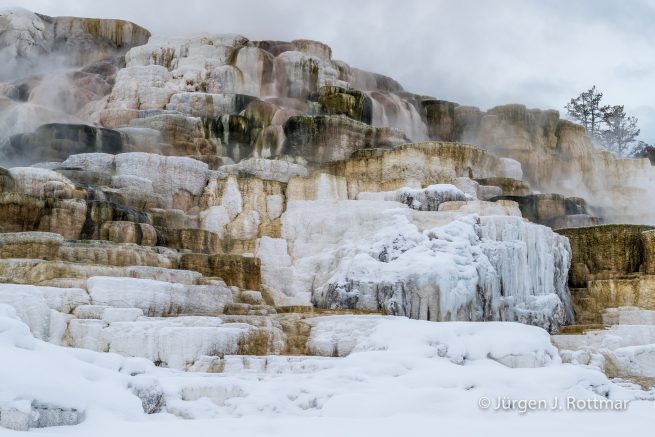 USA | Canyons & Yellowstone NP im Winter | Mammoth | Lower Terraces Area