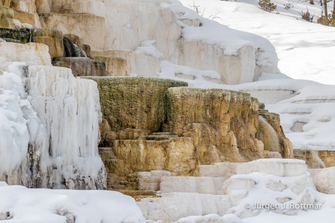 USA | Canyons & Yellowstone NP im Winter | Mammoth | Lower Terraces Area