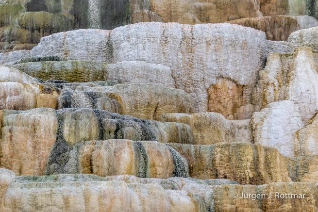 USA | Canyons & Yellowstone NP im Winter | Mammoth | Lower Terraces Area