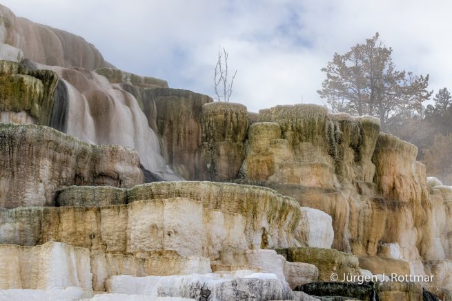 USA | Canyons & Yellowstone NP im Winter | Mammoth | Lower Terraces Area