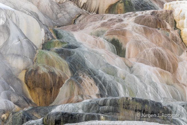 USA | Canyons & Yellowstone NP im Winter | Mammoth | Lower Terraces Area