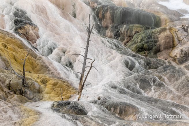 USA | Canyons & Yellowstone NP im Winter | Mammoth | Lower Terraces Area
