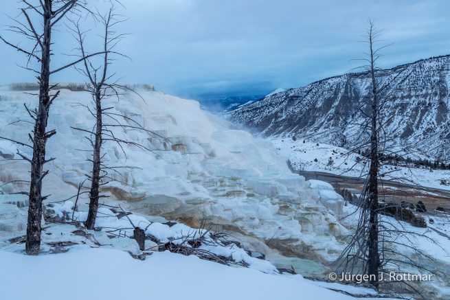 USA | Canyons & Yellowstone NP im Winter | Mammoth | Upper Terraces Area