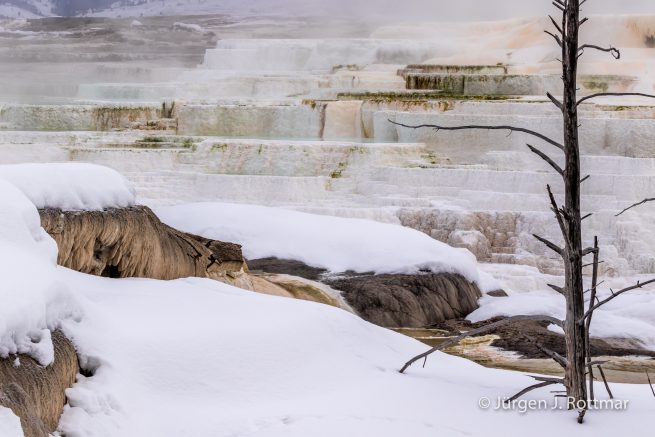 USA | Canyons & Yellowstone NP im Winter | Mammoth | Upper Terraces Area