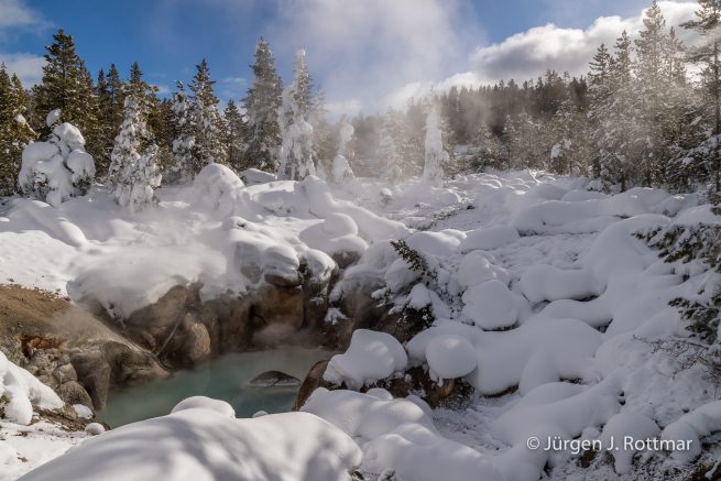 USA | Canyons & Yellowstone NP im Winter | Norris Geyser Basin