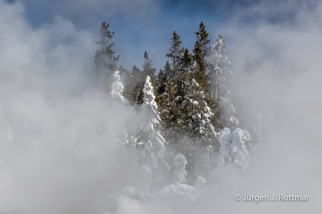 USA | Canyons & Yellowstone NP im Winter | Norris Geyser Basin