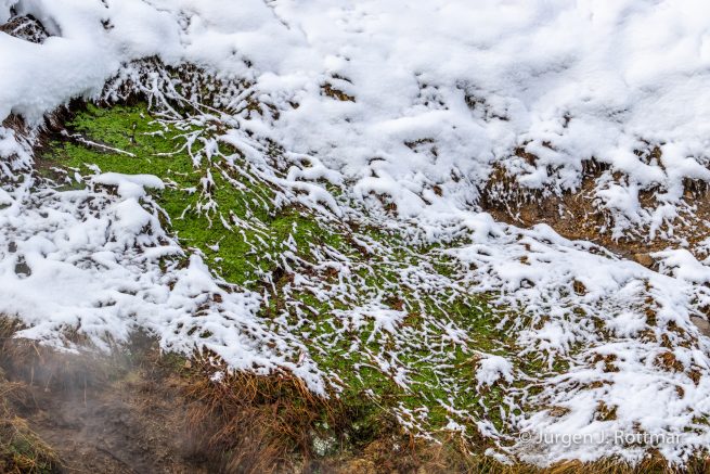 USA | Canyons & Yellowstone NP im Winter | Norris Geyser Basin