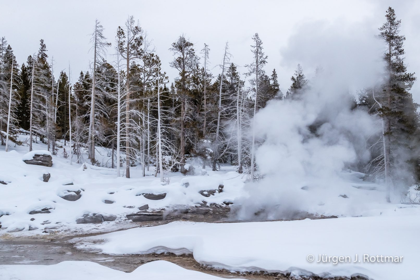 USA | Canyons & Yellowstone NP im Winter | Old Faithful | Upper Geyser Basin
