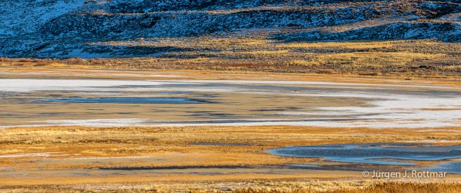 USA | Canyons & Yellowstone NP im Winter | The Great Salt Lake | Antelope Island State Park