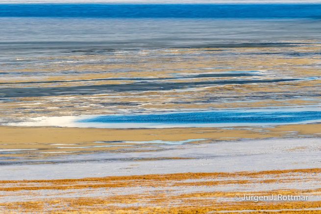USA | Canyons & Yellowstone NP im Winter | The Great Salt Lake | Antelope Island State Park