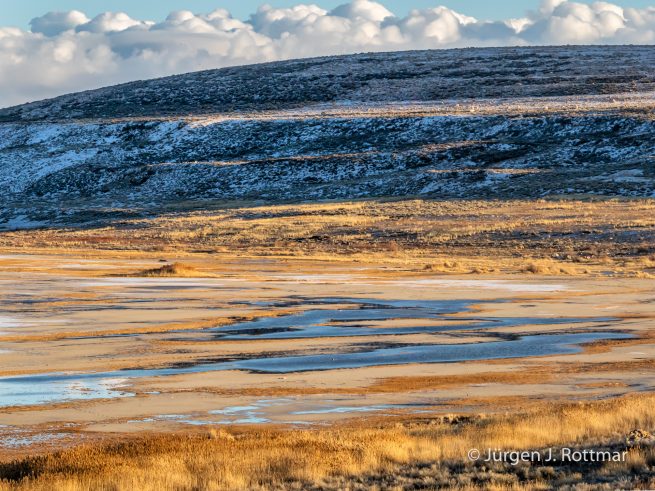 USA | Canyons & Yellowstone NP im Winter | The Great Salt Lake | Antelope Island State Park