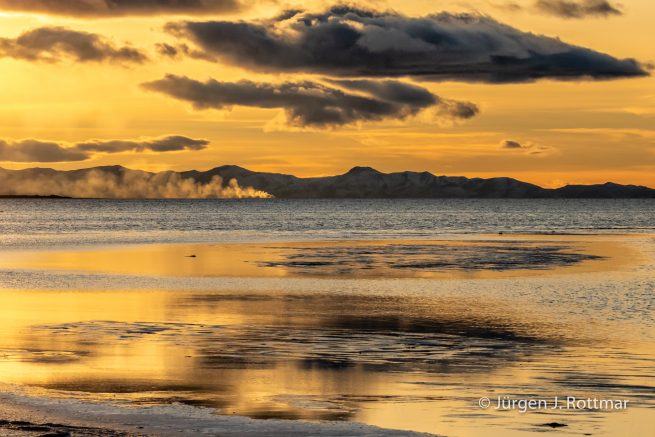 USA | Canyons & Yellowstone NP im Winter | The Great Salt Lake | Antelope Island State Park