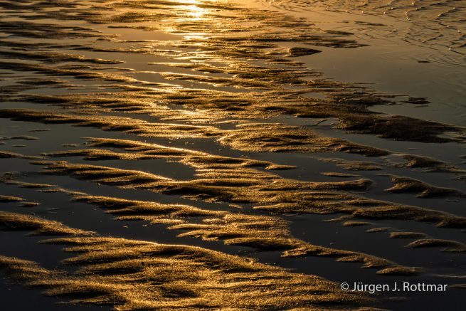 USA | Canyons & Yellowstone NP im Winter | The Great Salt Lake | Antelope Island State Park