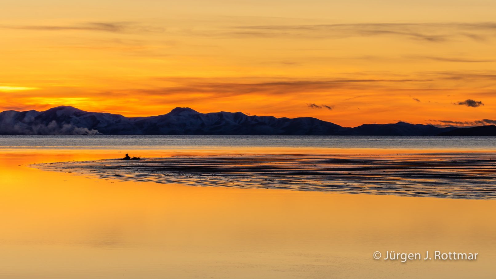 USA | Canyons & Yellowstone NP im Winter | The Great Salt Lake | Antelope Island State Park