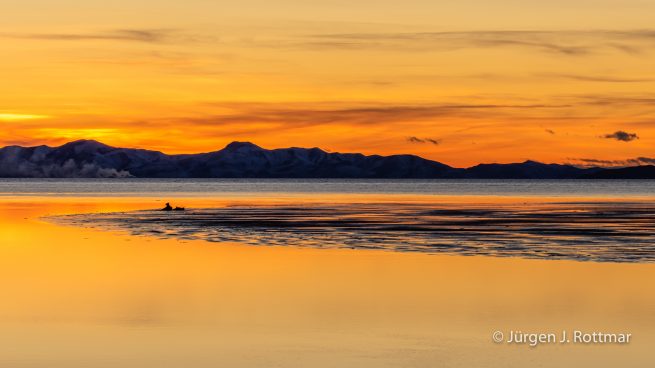 USA | Canyons & Yellowstone NP im Winter | The Great Salt Lake | Antelope Island State Park