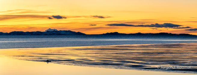USA | Canyons & Yellowstone NP im Winter | The Great Salt Lake | Antelope Island State Park