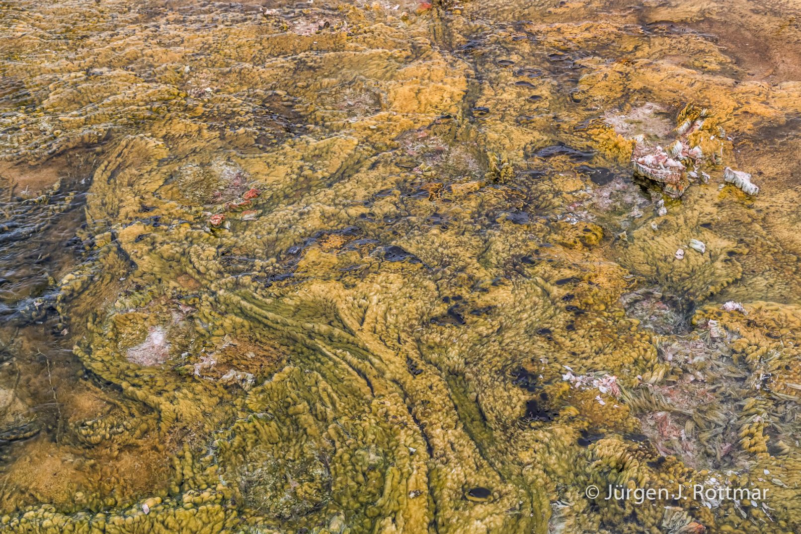 USA | Canyons & Yellowstone NP im Winter | Upper Geyser Basin
